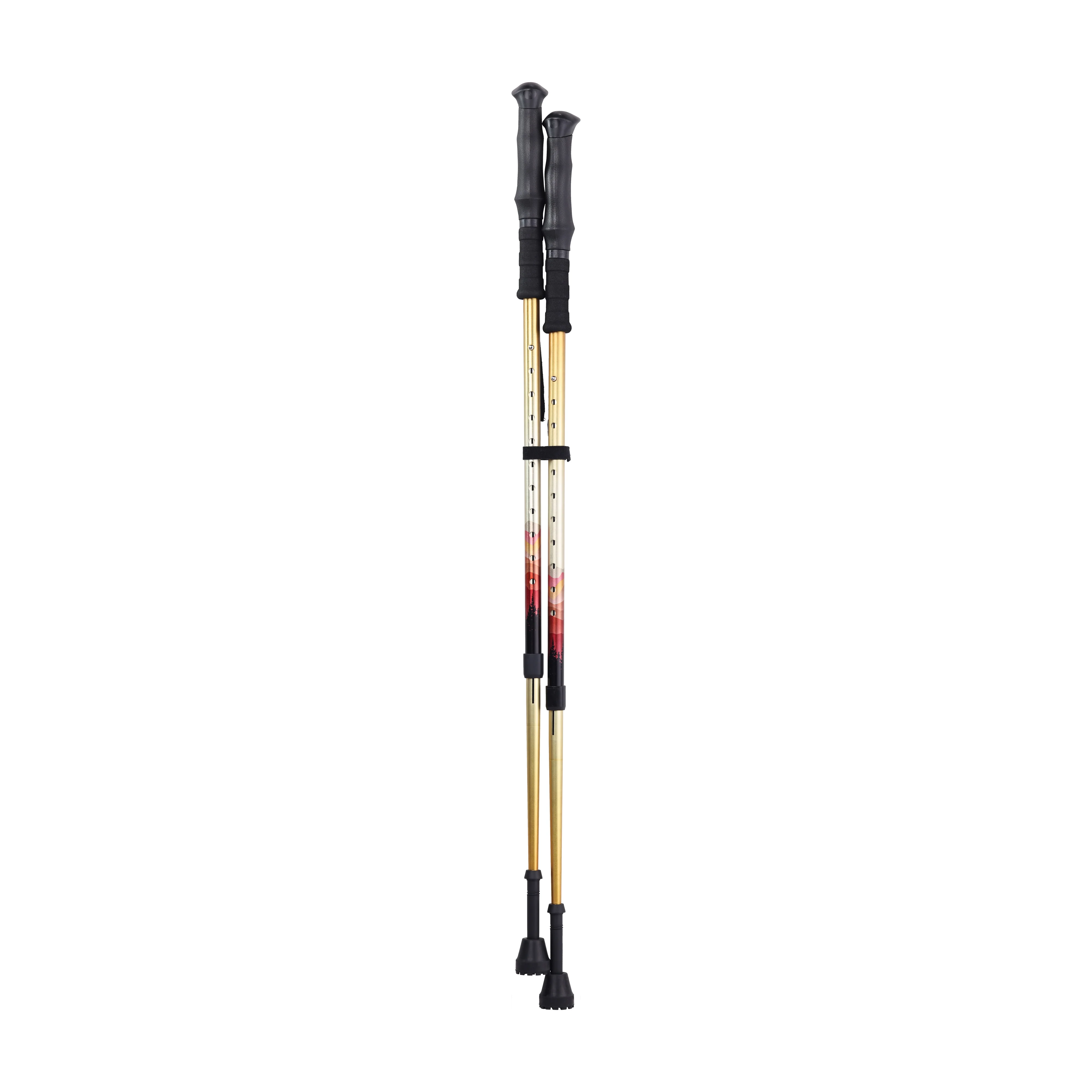 Drive Summit™ Walking Poles - Image 2